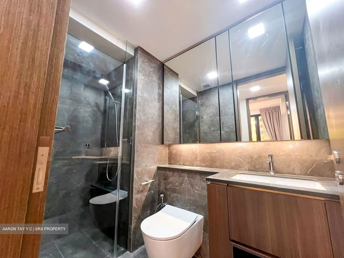 Kopar At Newton (D9), Apartment #588826611